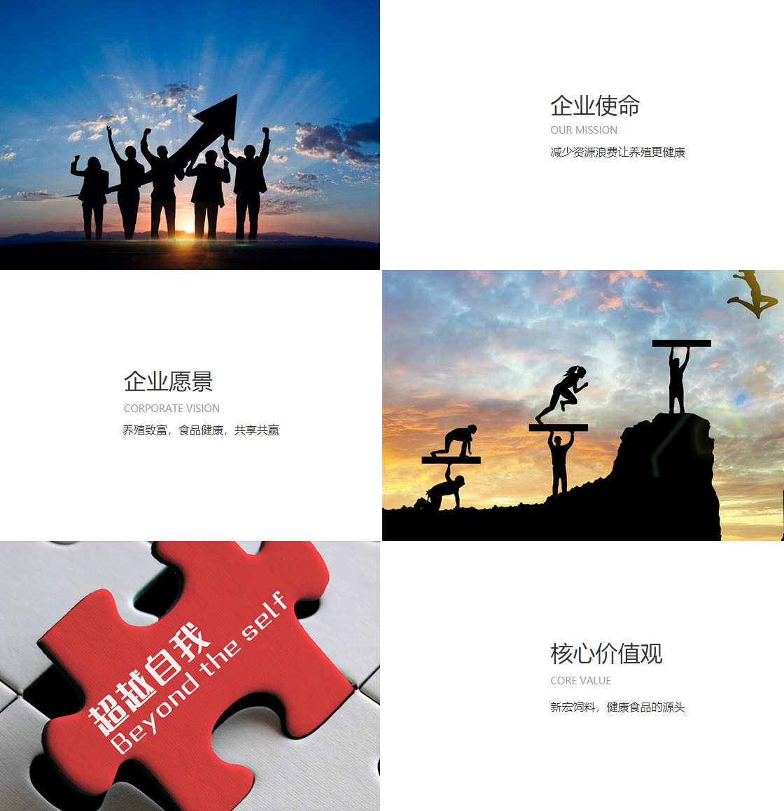 九游网页版(图1)